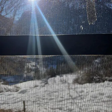 Chasa Crusch 게스트하우스 *